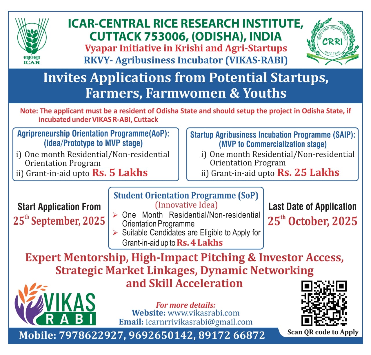 English Advertisement